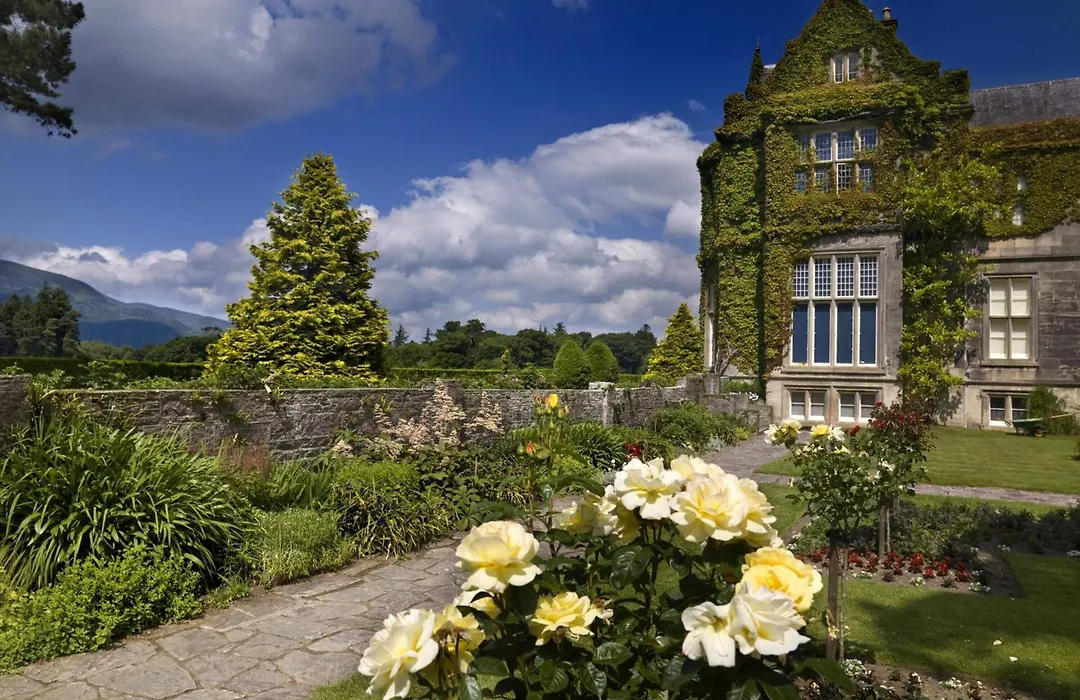 Ardree House B&B-1
