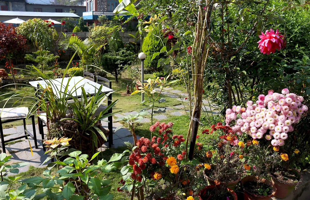 Hotel Orchid-1