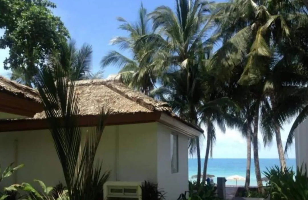 Synergy Samui-1