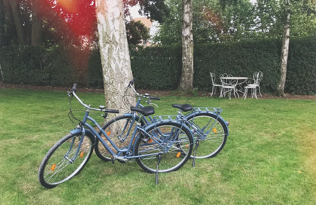 B&B Sterckxhof-1