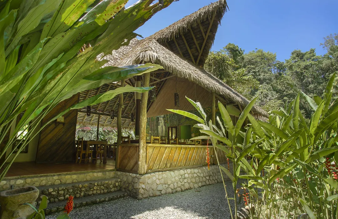Esquinas Rainforest Lodge-1