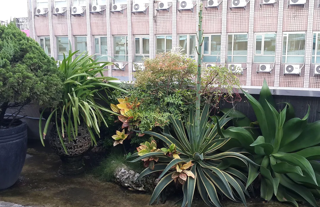 E-House Hotel-1