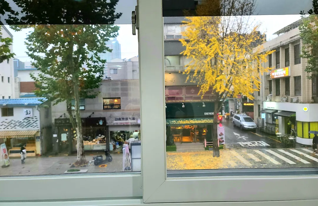 Hostel Tommy Jongno ---- Tax Return Authorized Shop-1