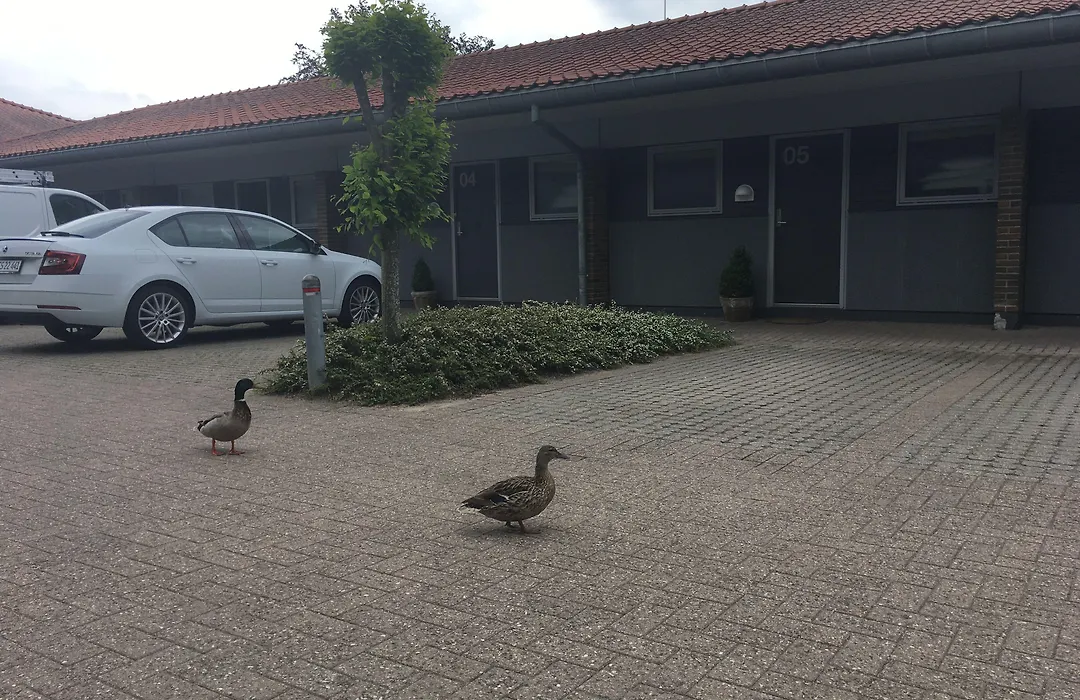 Christiansminde-1