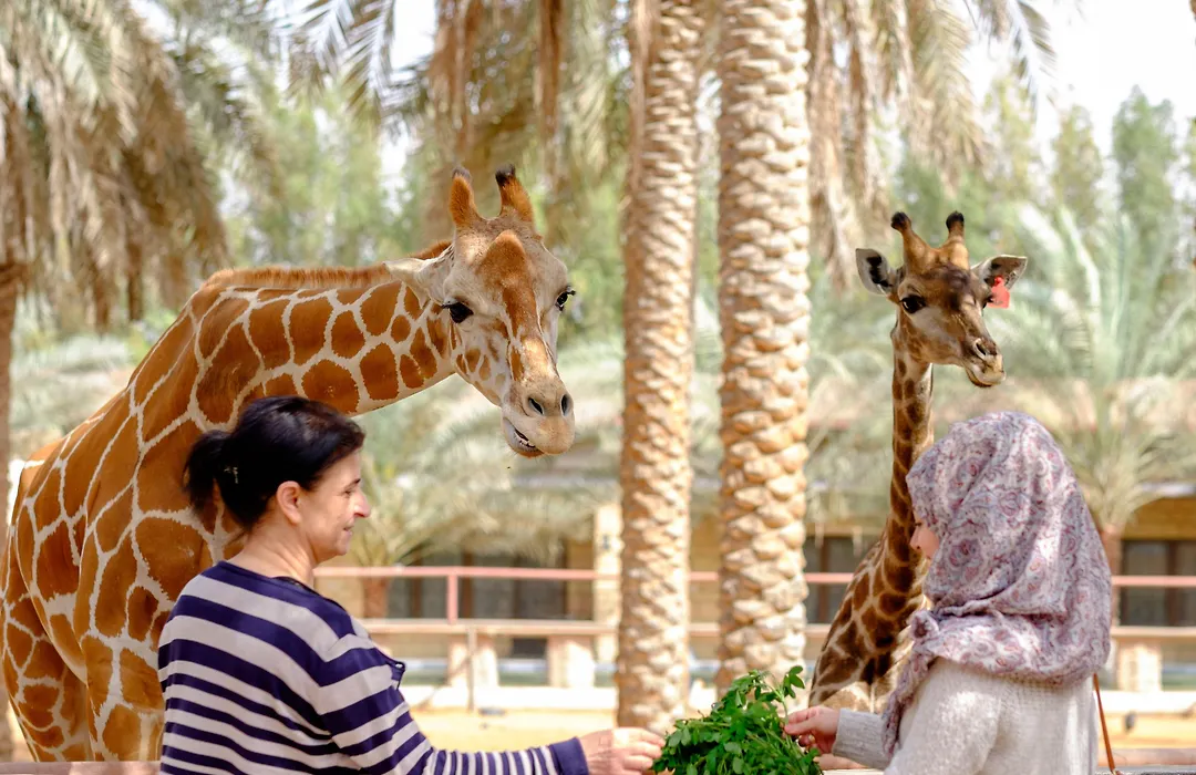 Emirates Park Resort-1