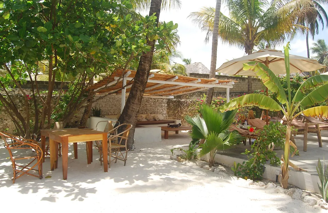 Sahari Zanzibar-1
