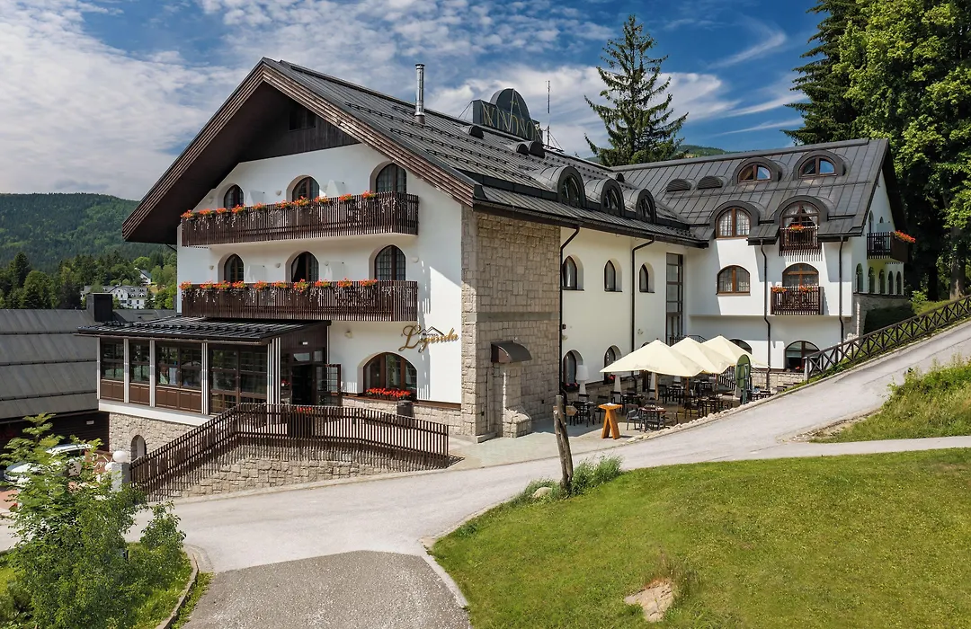 Wellness Hotel Windsor-1