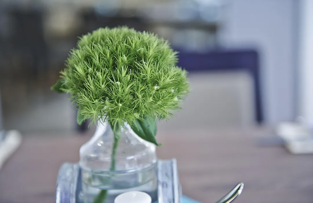 Hotel Elch Boutique-1