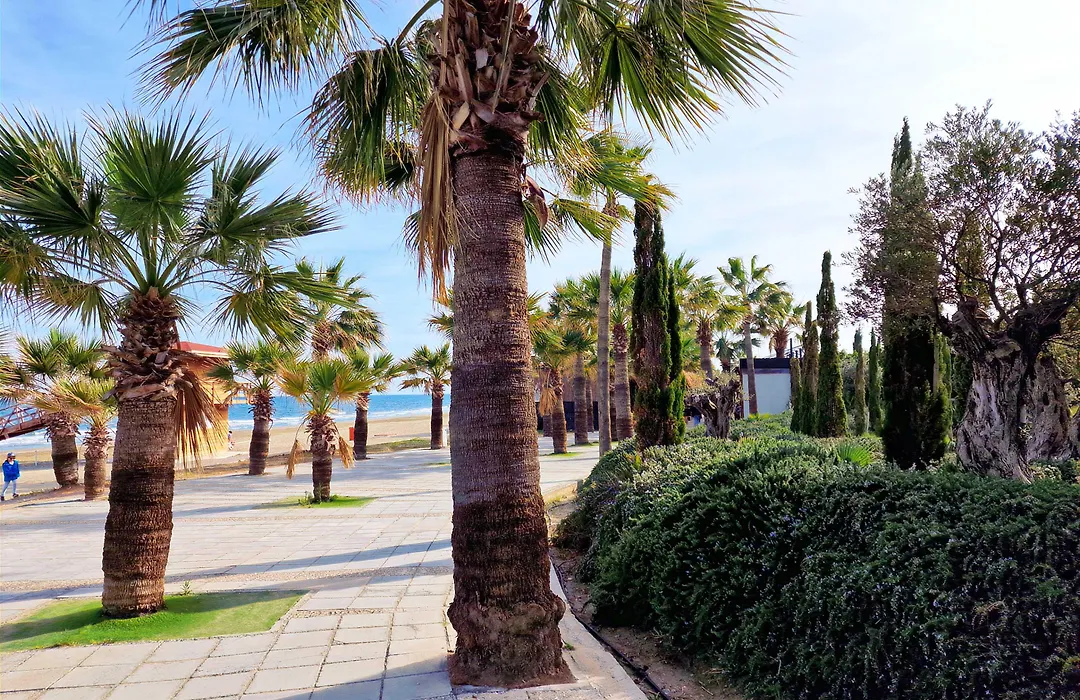 The Ciao Stelio Deluxe Boutique Hotel - Adults Only-1