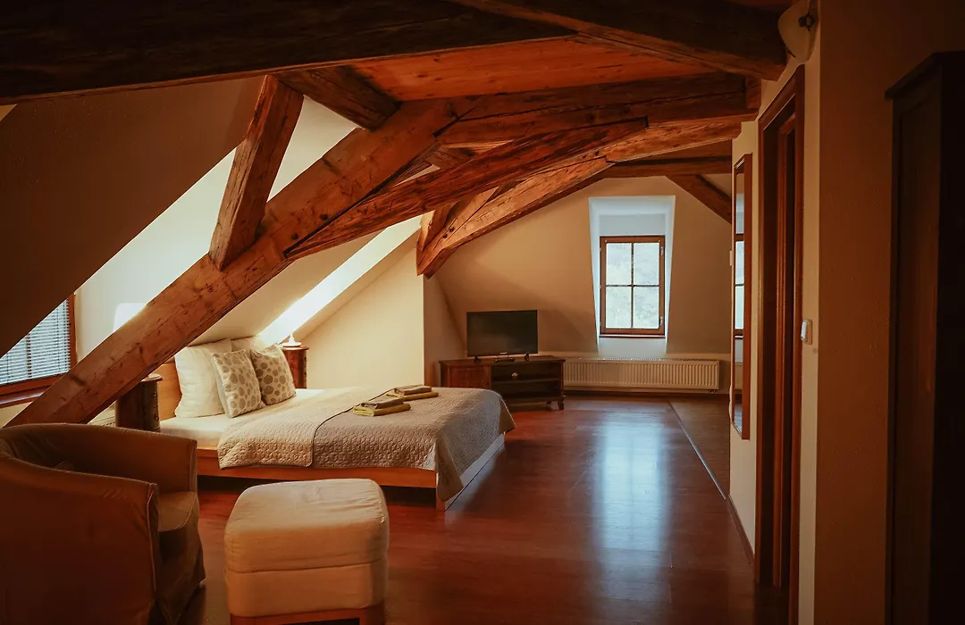 Hotel Stein Elbogen-1