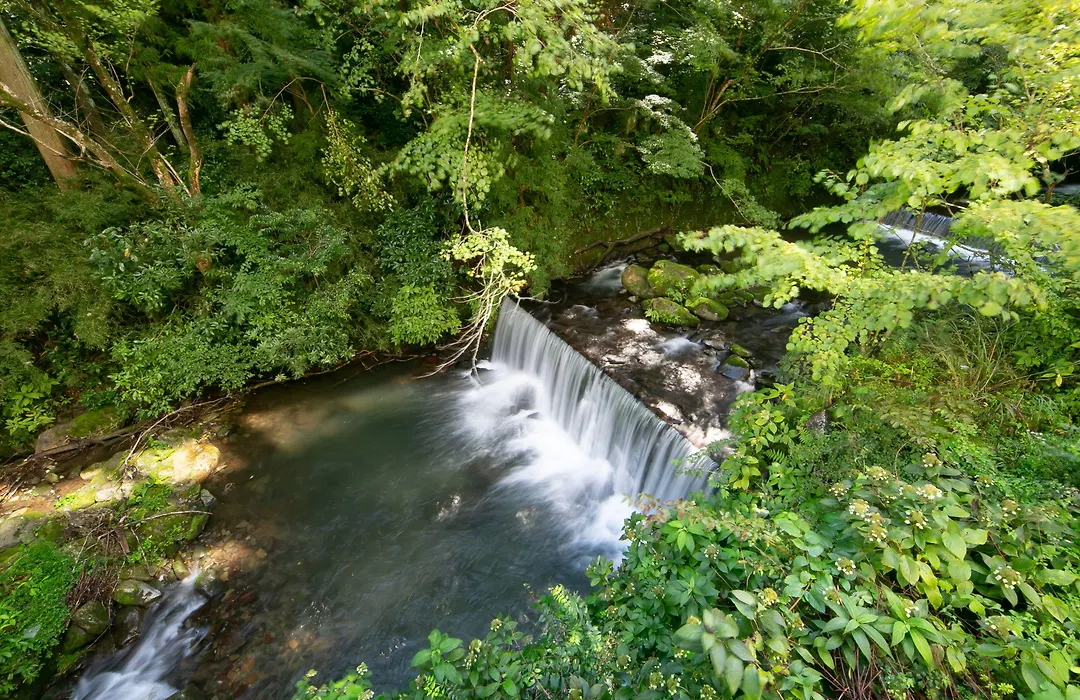 Hakone Nanase Formerly Known As Manatei Hakone-1