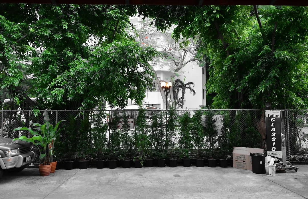 Seedling House-1