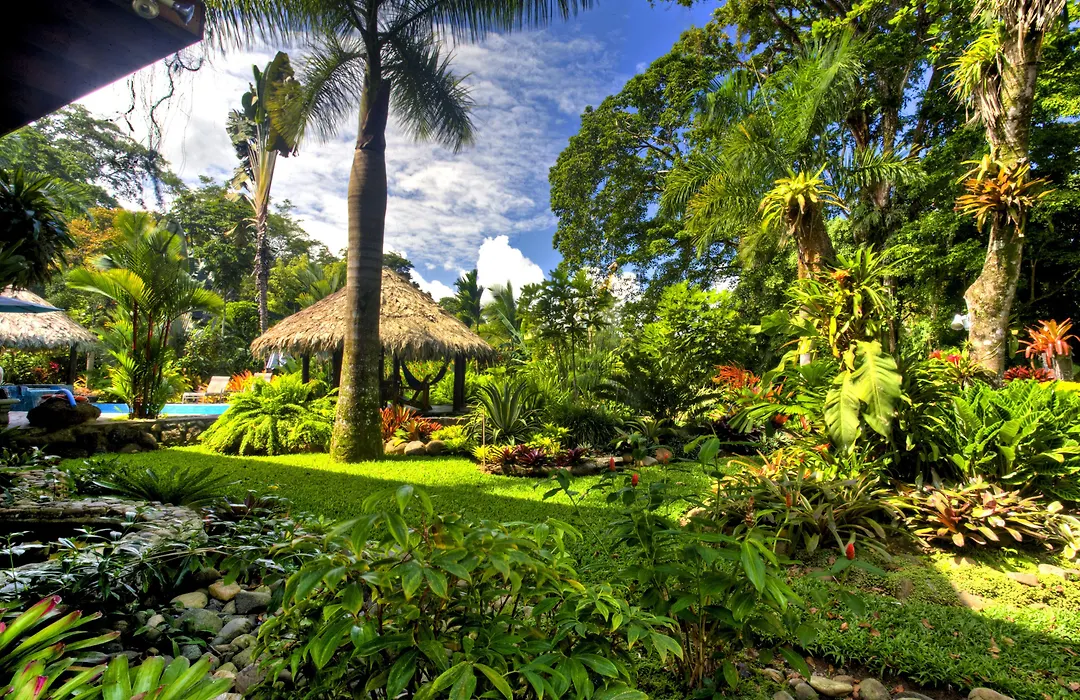 Hotel Banana Azul - Adults Only-1