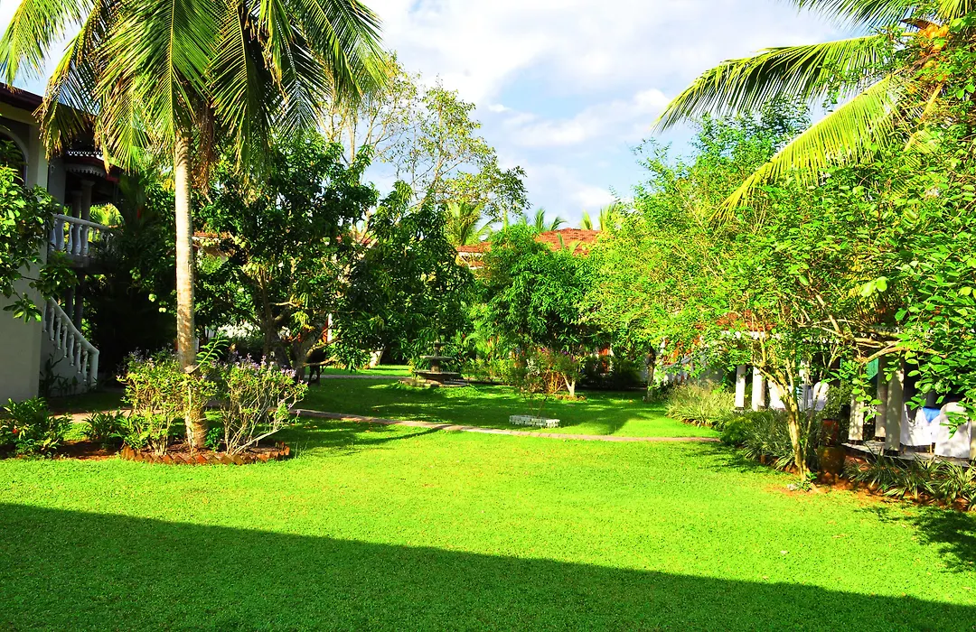 Bougain Villa-1
