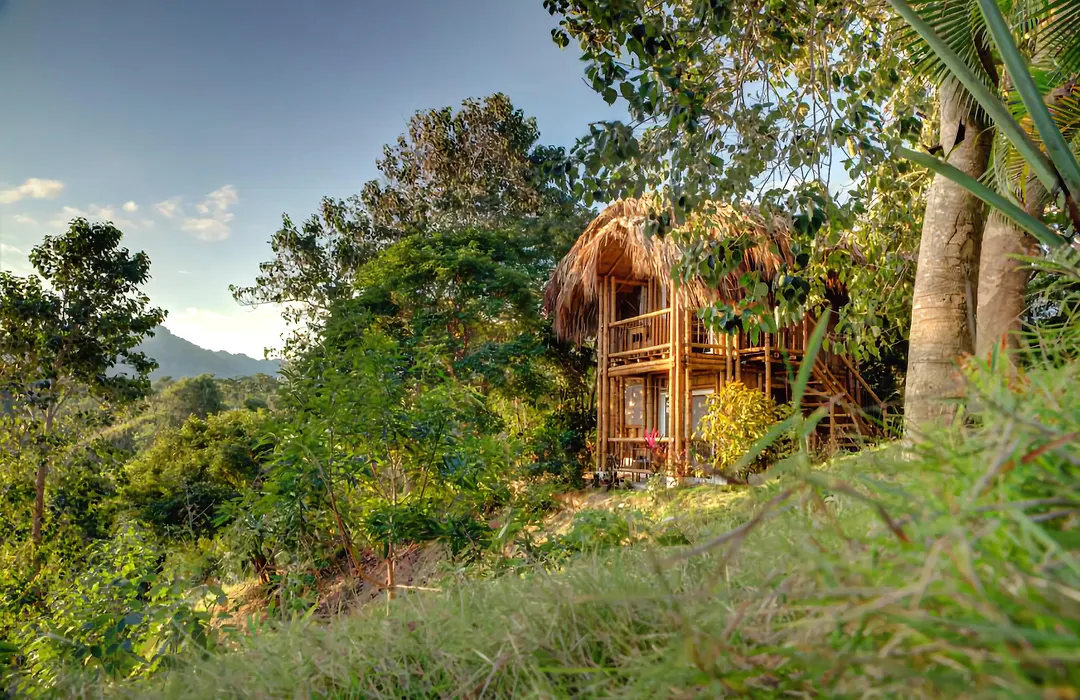 Villa Maria Tayrona, Jungle And Sea Experience-1