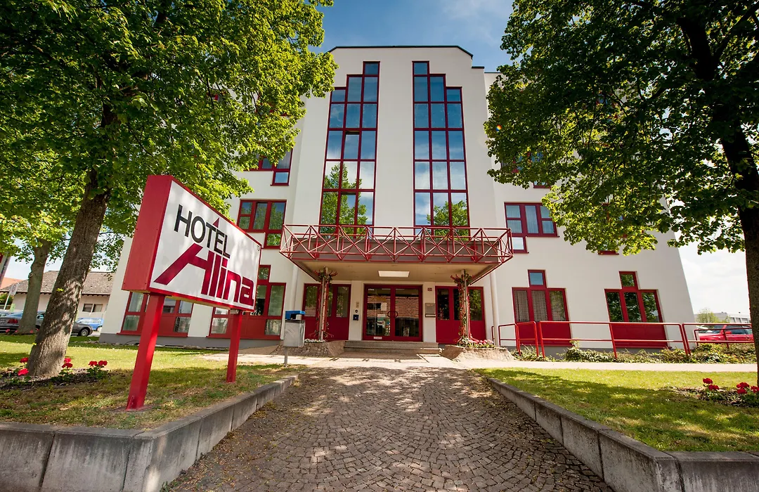 Hotel Alina-1