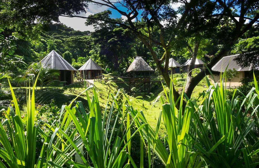 Taveuni Dive Resort-1