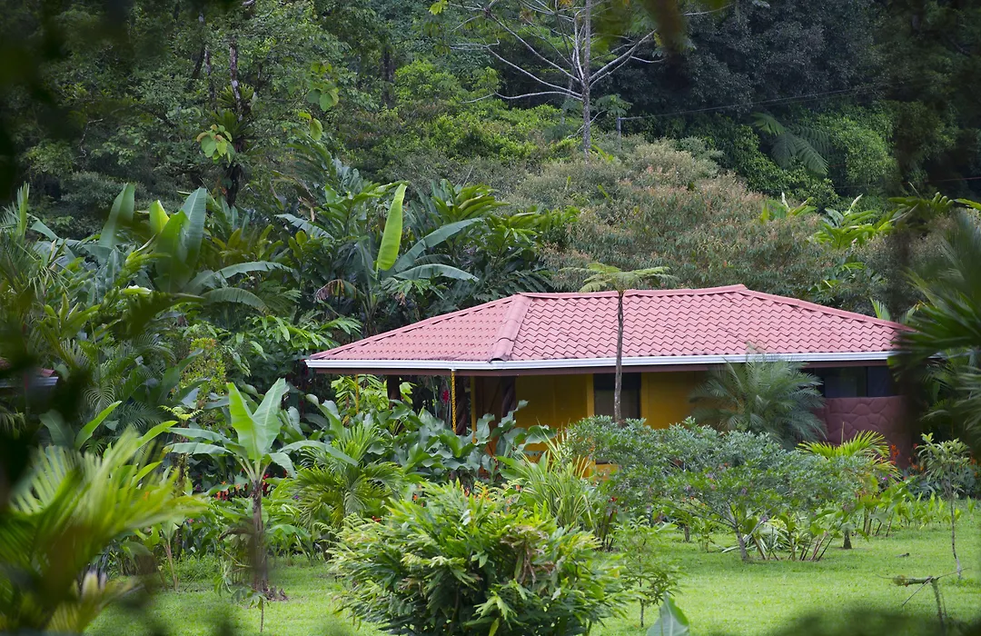 Hotel Catarata Rio Celeste-1
