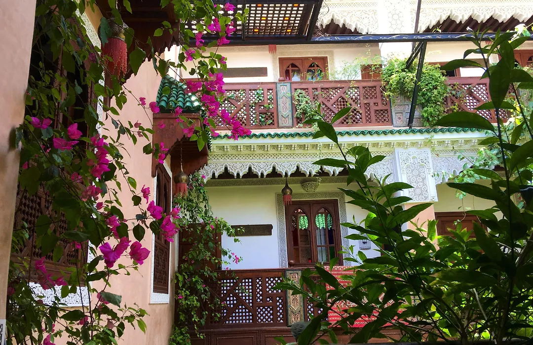 Riad Toyour- Riad Of Birds-1