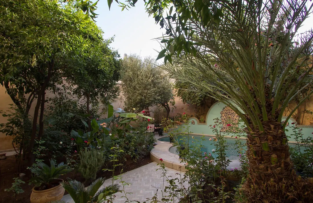 Riad Norma-1