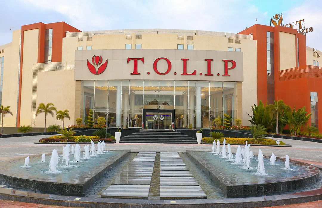 Tolip El Narges-1