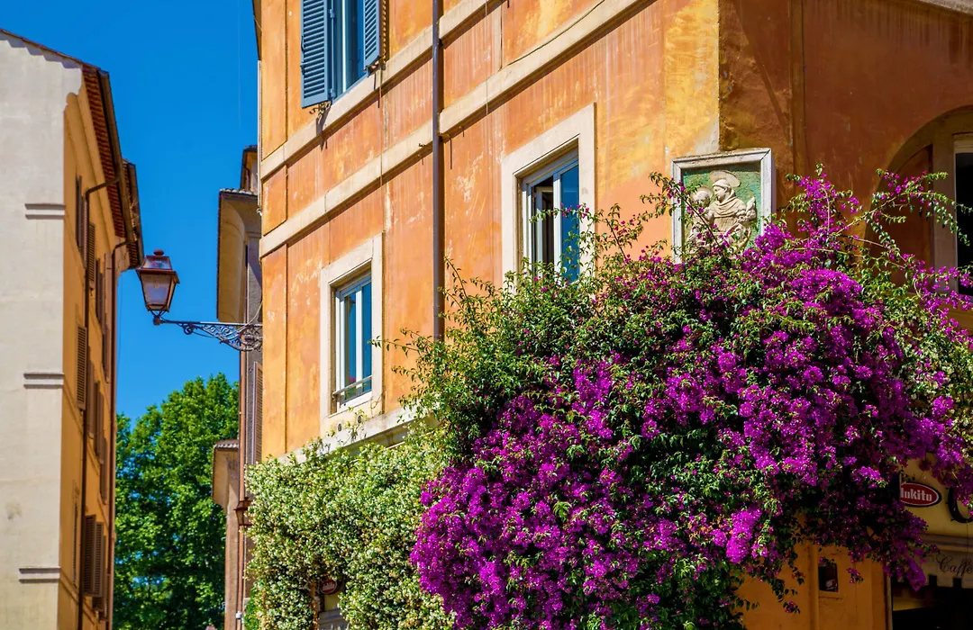 Palazzo Medusa-1