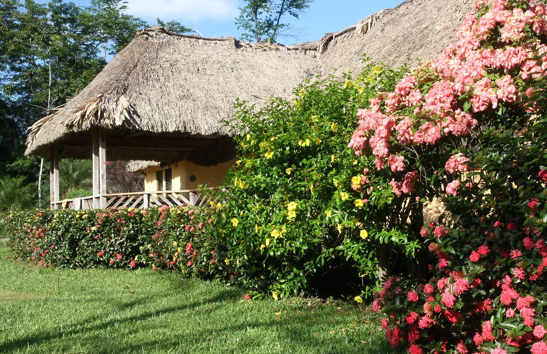 Tanager Rainforest Lodge-1