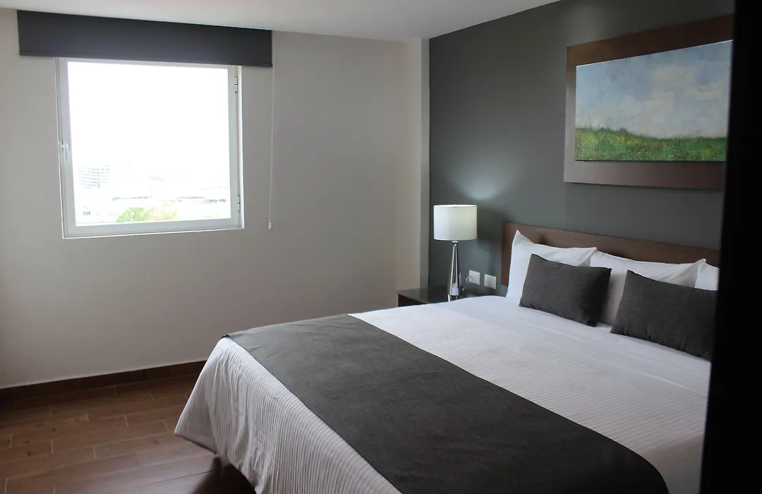 Eco Hotel Guadalajara Expo-1
