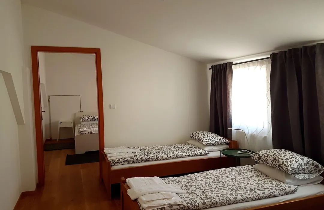 Guesthouse Stari Tisler-1