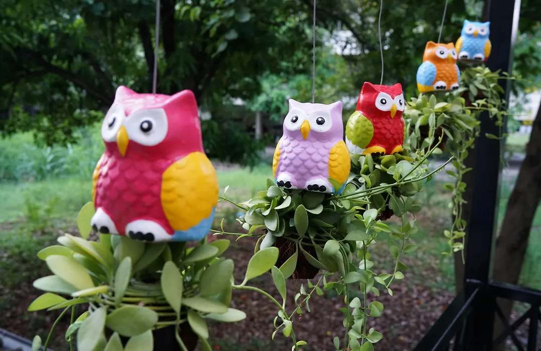 Sleep Owl Hostel-1