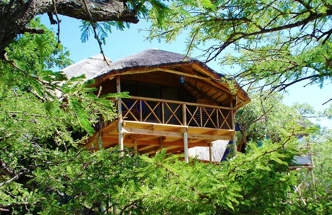 Pezulu Tree House Lodge-1