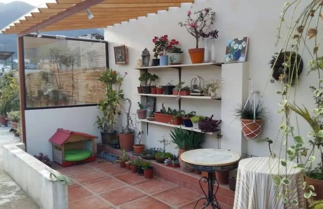 Quito Terrace-1