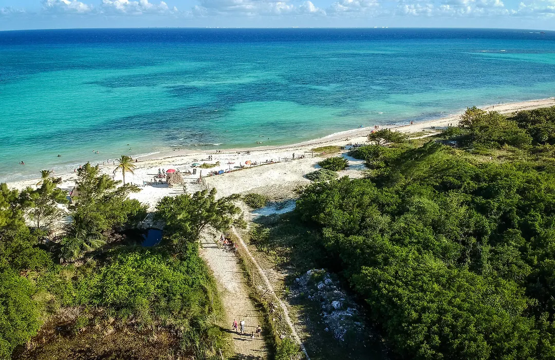Ocean Zen Suites On 5Th Avenue - Adults Only-1
