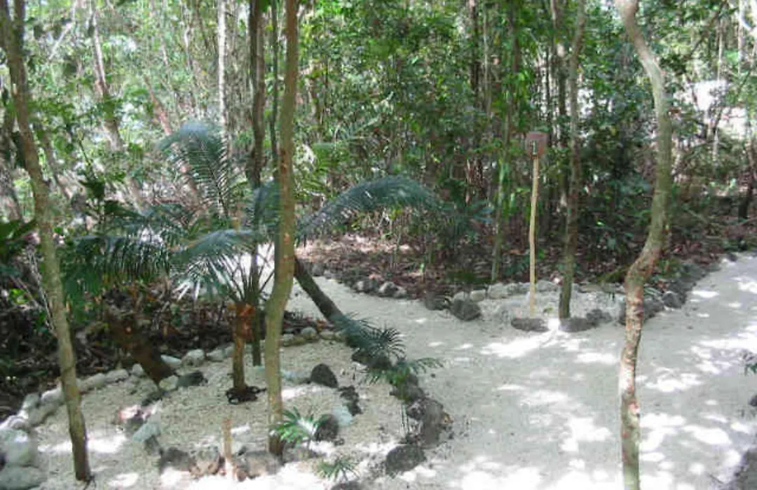 Tranquility Island Eco Dive Resort-1