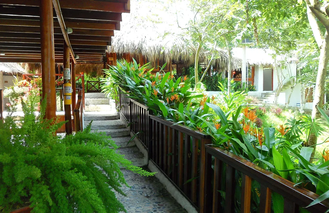 Ecohotel Yachay Dentro Del Parque Tayrona Inside Tayrona Park-1