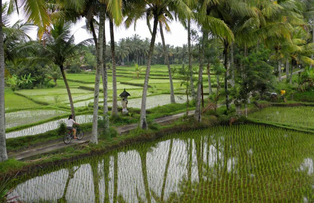 Satori Villas Bali-1