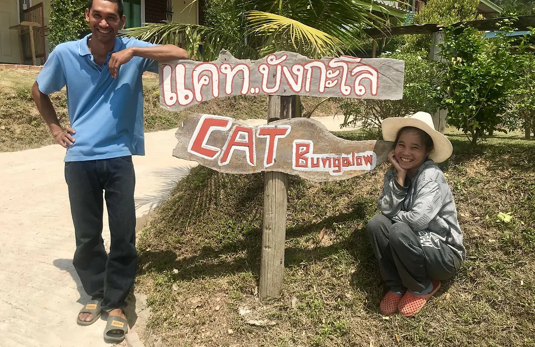 Cat Bungalow-1