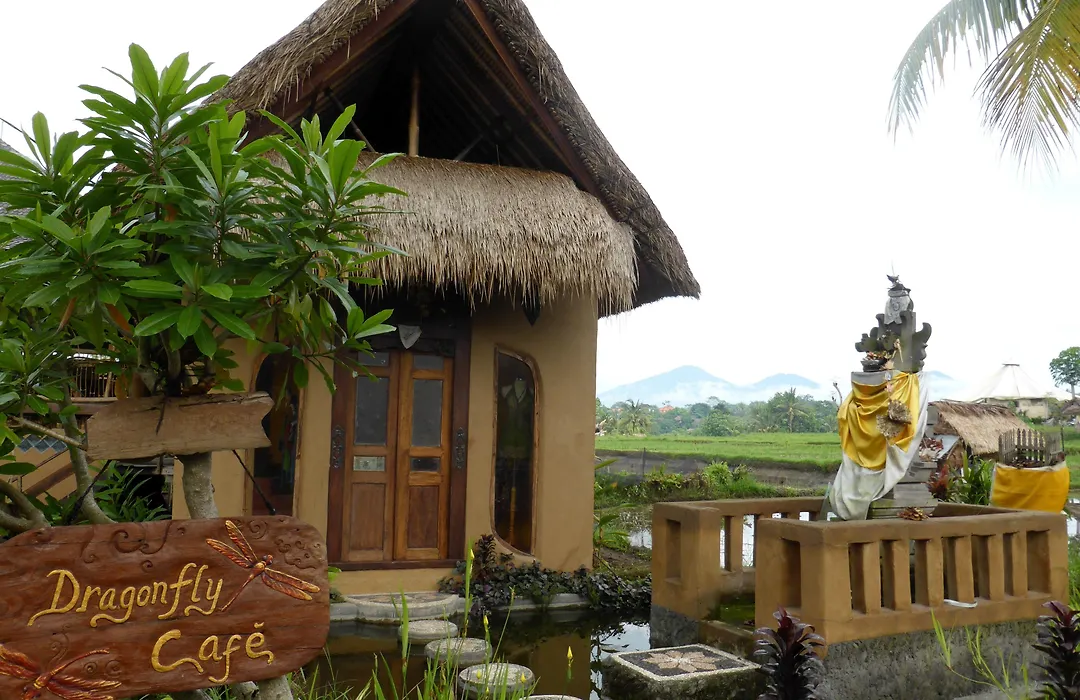 Dragonfly Village-1