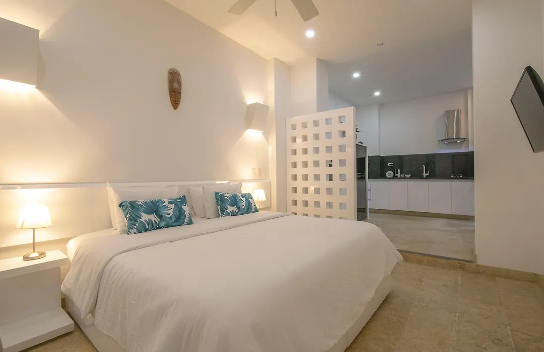 El Cactus Luxury Apartments In Historic Center-1