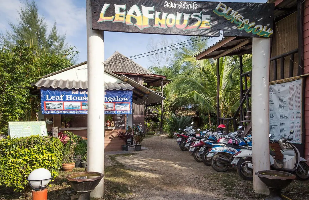 Leaf House Bungalows-1