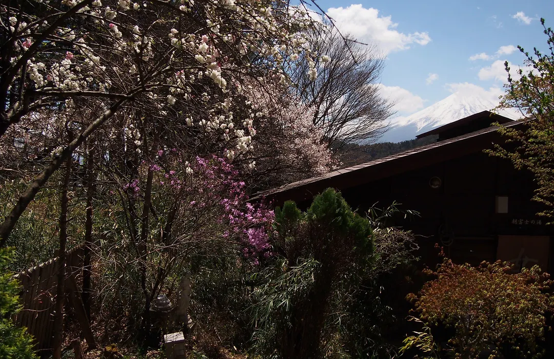 Guesthouse Sakuya-1