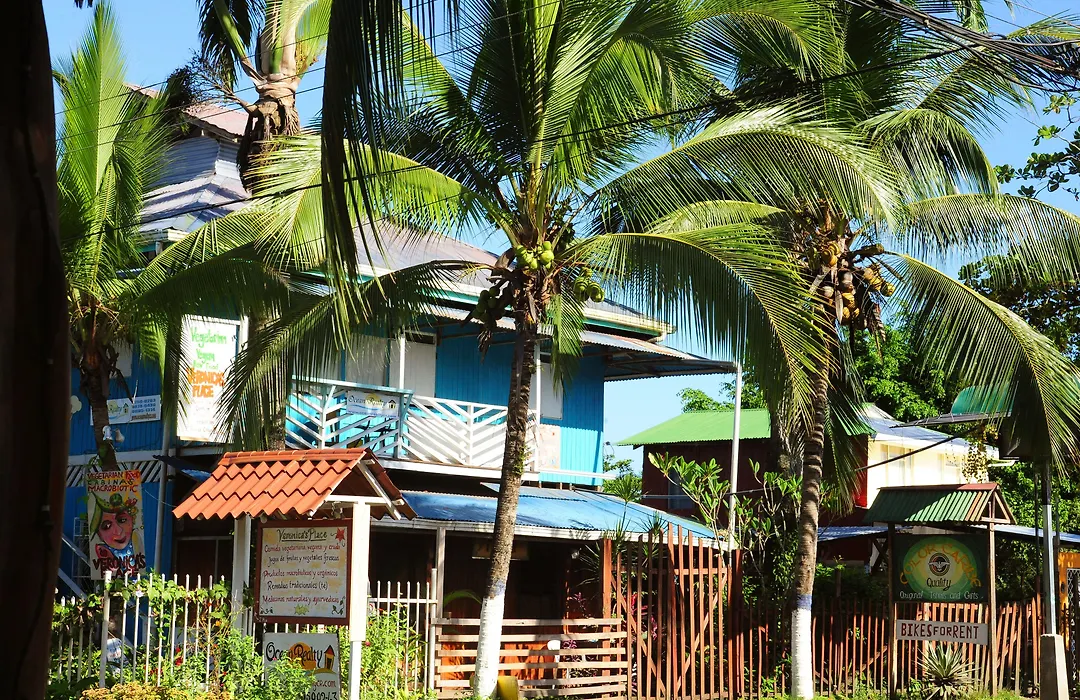 Tree House Beachfront Lodge-1