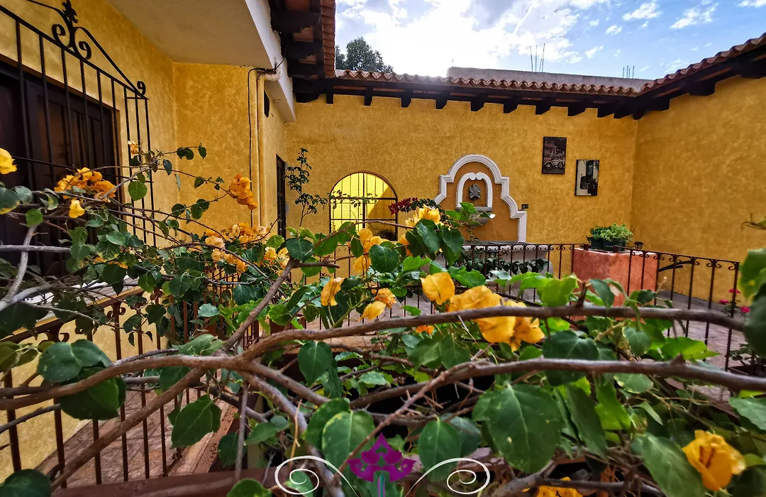 Maison Bougainvillea-1