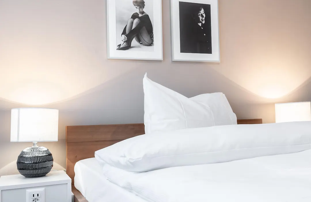 Hotel Birsighof Basel City Center-1