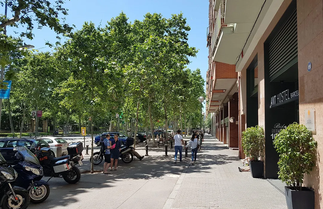Ant Hostel Barcelona-1