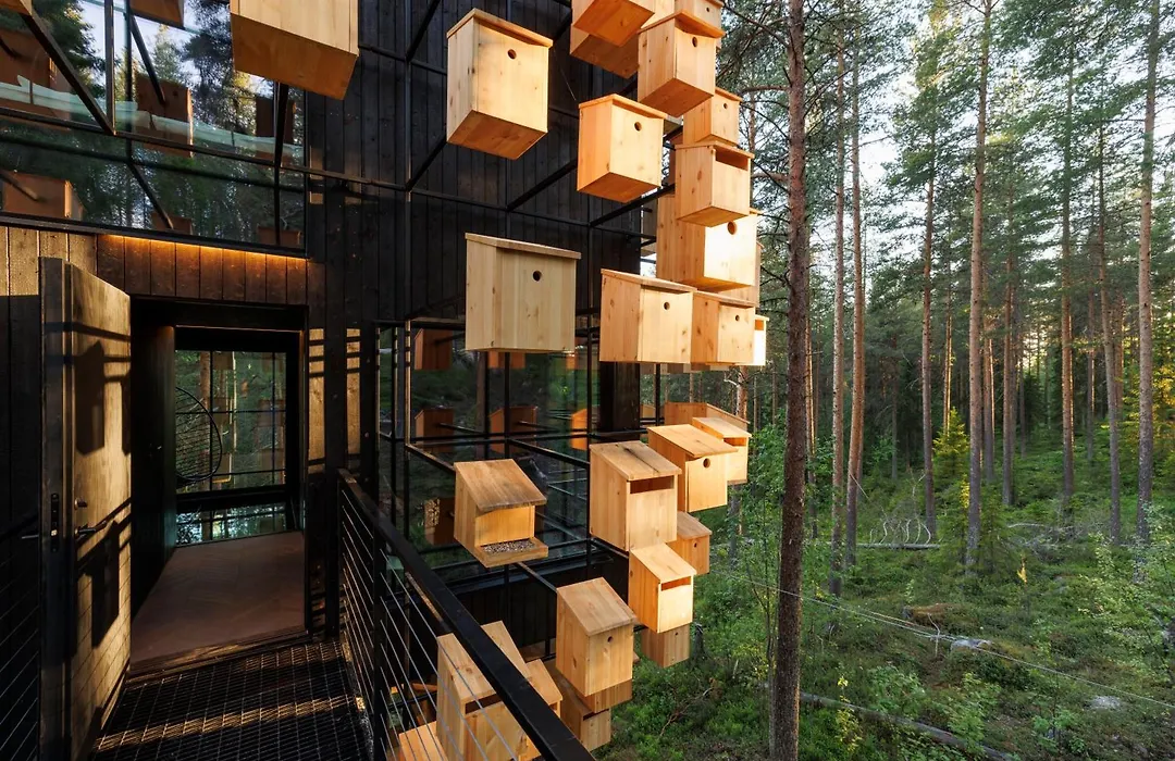 Treehotel-1