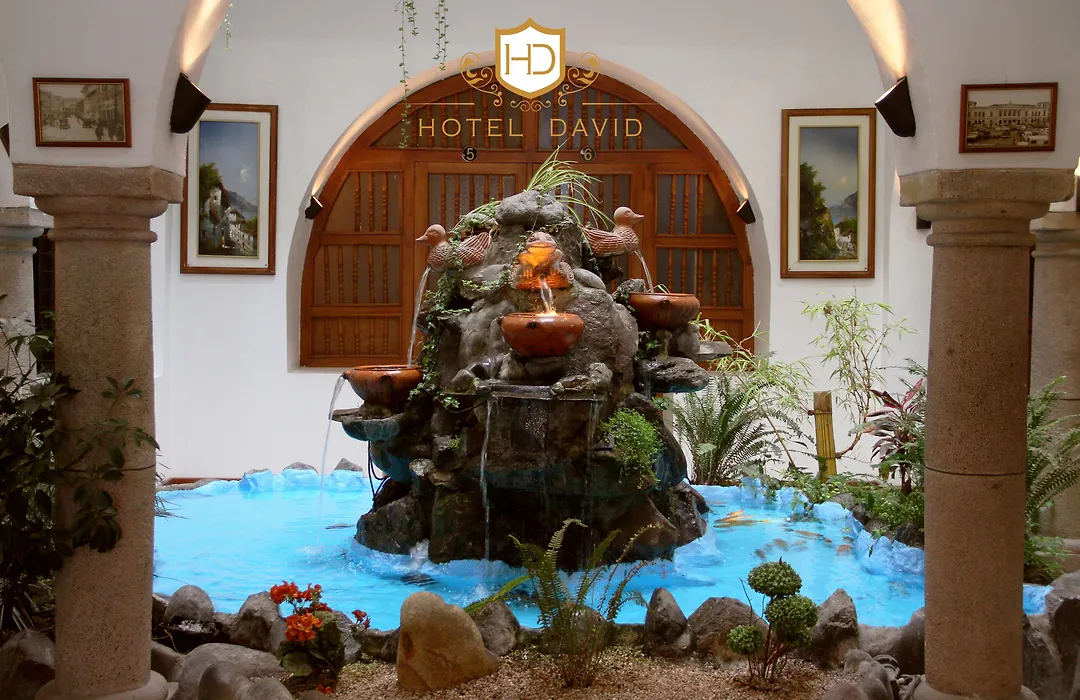 Hotel David-1