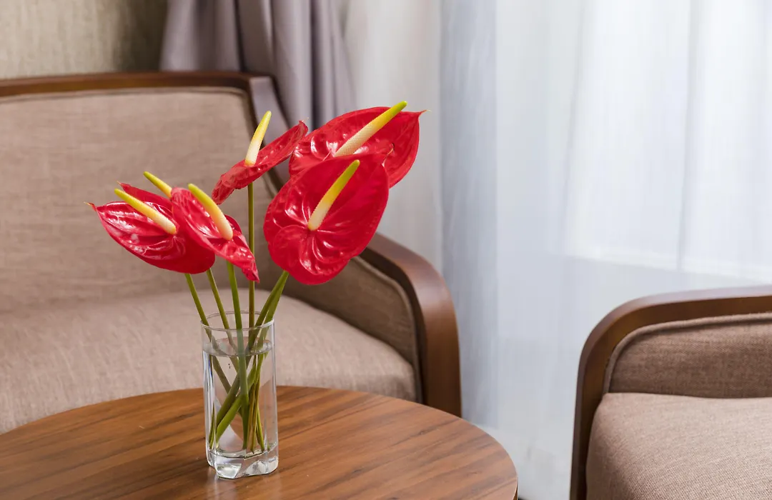 Sea Pearl Hotel-1