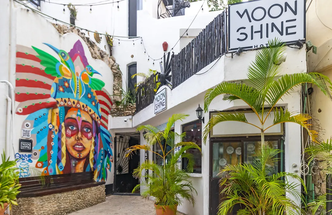 Moonshine Hotel-1