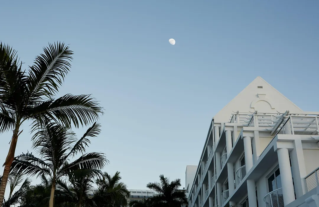 Palm Heights-1